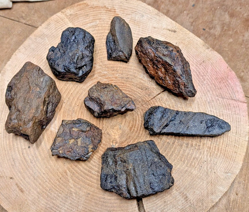 Welsh petrified wood - petrified,