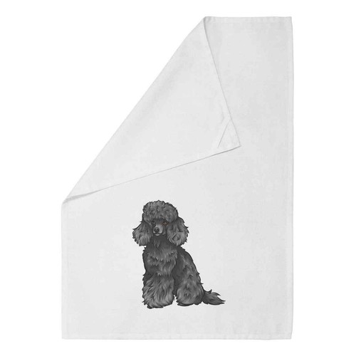 Black toy poodle cotton - toy,