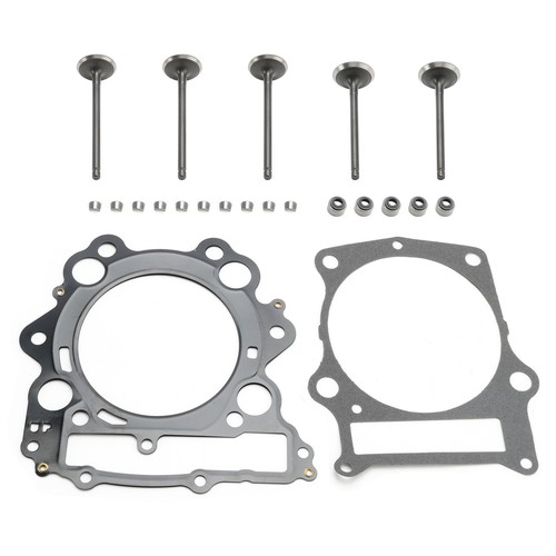 Cylinder head valves seals - head,