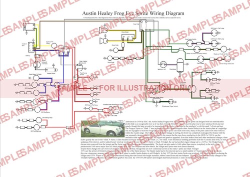 Austin healey frogeye bugeye - austin,