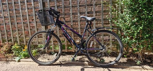 Ladies python mountain bike - mountain,