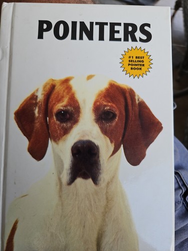Pointer dogs - pointer,
