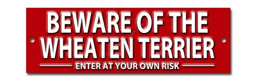 Beware the wheaten terrier - beware,