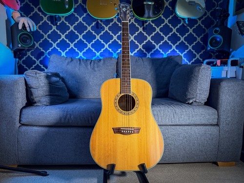 Washburn wd10s acoustic - wd10s,