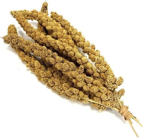 Large natural yellow millet - yellow,