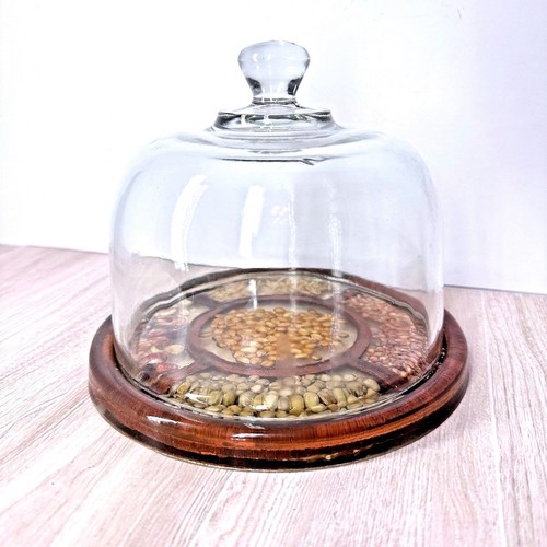 Gamut design glass - glass, cloche