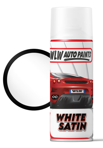 Radiator aerosol spray paint - aerosol,