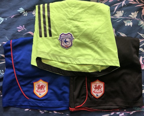 Cardiff city football - cardiff, shorts