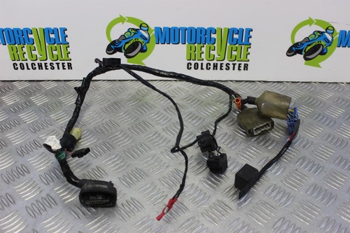 Honda cbr 600 loom front - honda,