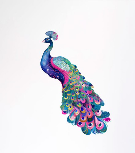 Peacock wall art colourful - art,