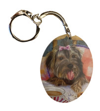 Yorkshire Terrier Puppy