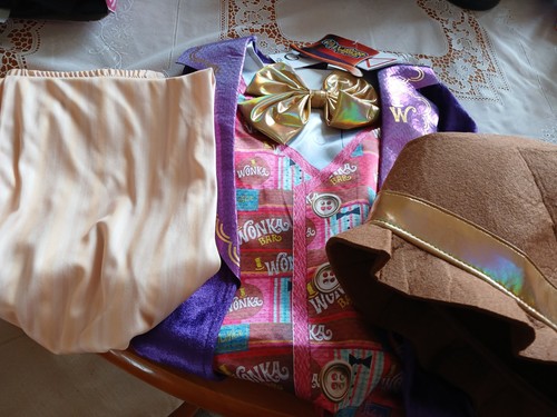 Roald dahl willy wonka costume - wonka,
