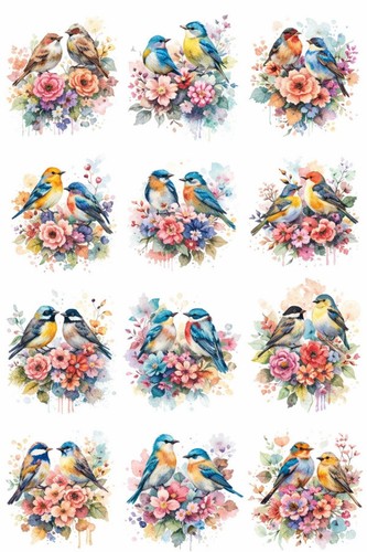 Colorful floral garden - 12,