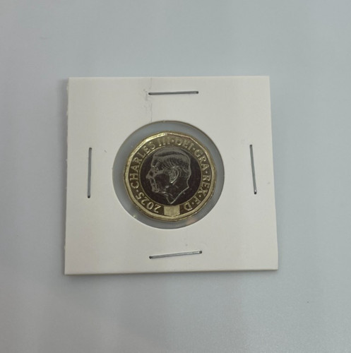 2025 pound bee coin king - £1,