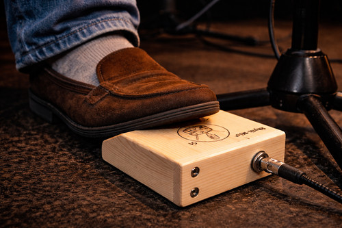 Professional stompbox snap - professional,