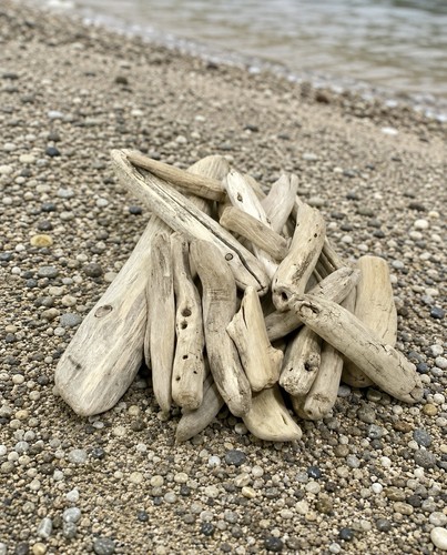 Driftwood pieces smooth - smooth, &