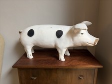 Butchers Shop Display Pig
