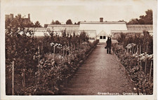 Grendon Hall near Bozeat. Greenhouses.