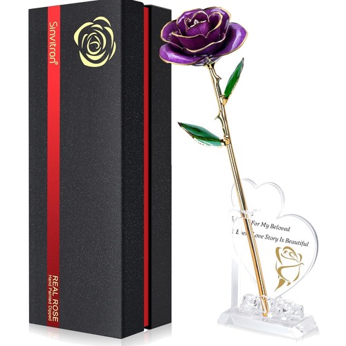 Gold dipped infinity rose - dipped,