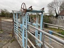 cattle handling system 