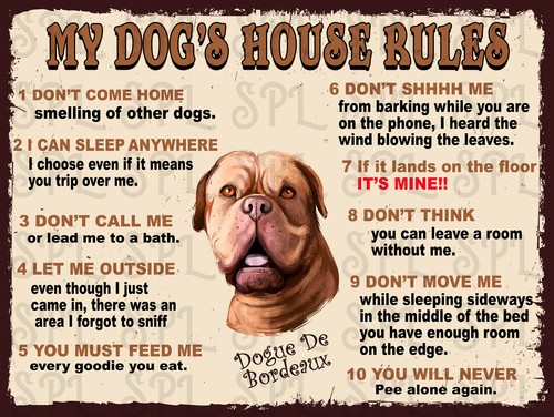 Dog house rules - my, de