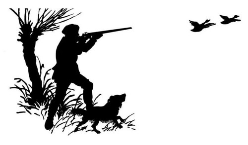 Man shooting birds dog - shooting, birds/dog