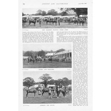 TUNBRIDGE WELLS Kent The Horse