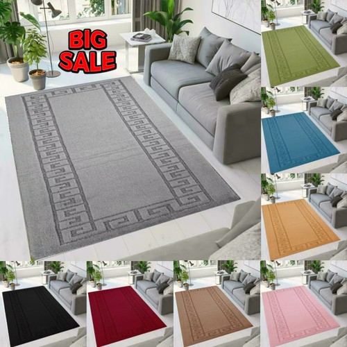 Large living room bedroom - large,