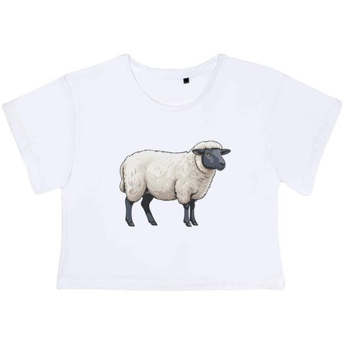 Suffolk sheep adult cotton - 'suffolk, sheep'