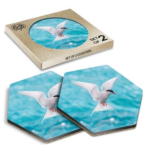 Hexagon coasters arctic - x,