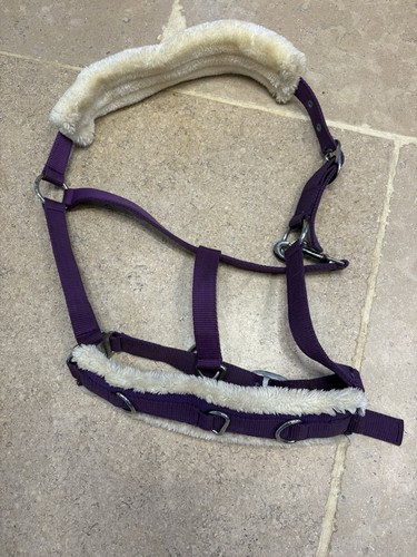 Lunging cavesson headcoller - cavesson,