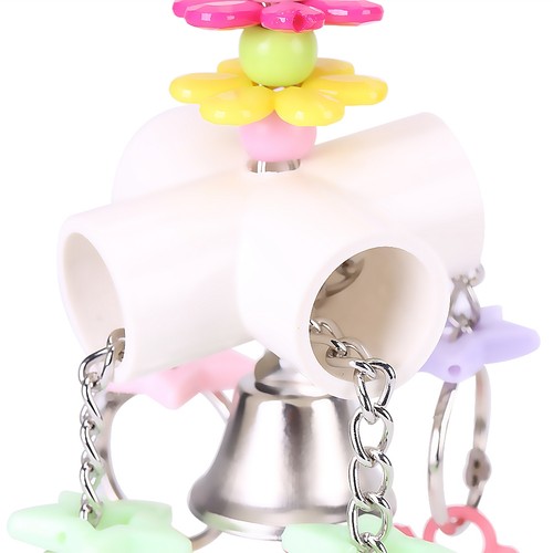 Budgie cockatiel colorful - ,