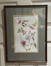 Framed And Signed Watercolour