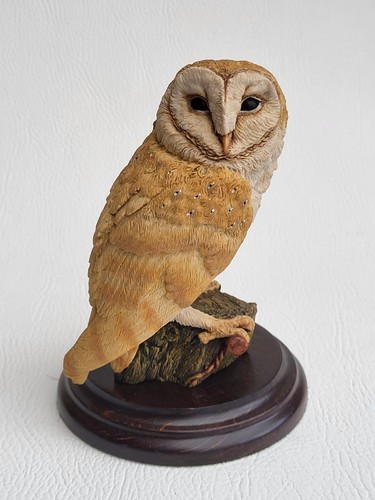 Country artists barn owl - country, ca392
