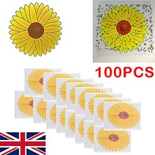 100 Fly Catcher Window Flower