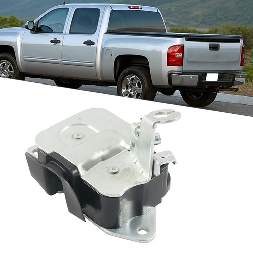 Rear extended cab latch - extended,