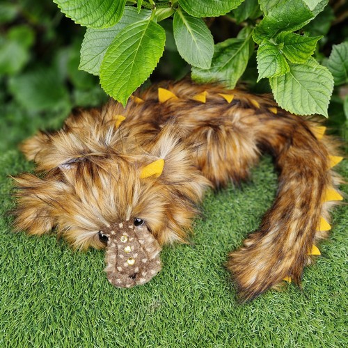 Gingersnap kaycee - gingersnap, by