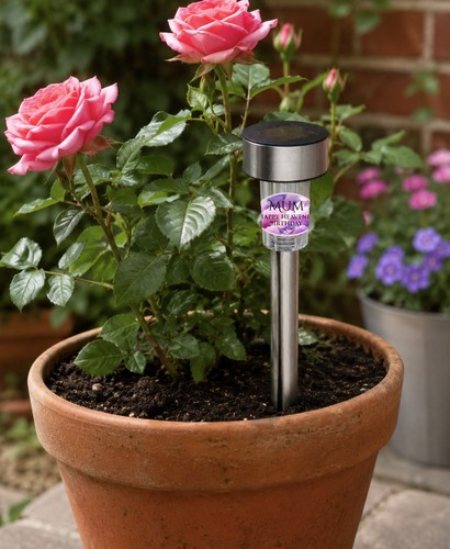 Led memorial garden - garden, solar