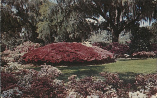 Flowers pete knight jr - pete, knight,