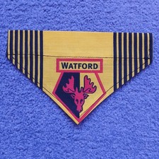 XS Watford Football Club