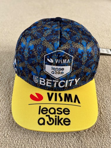 Team visma lease - team, bike