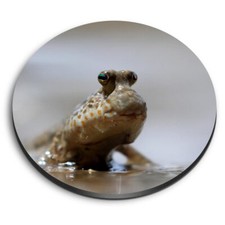 1x Round Fridge MDF Magnet