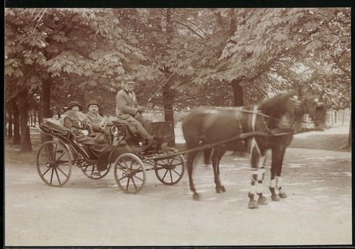 Photograph horse drawn - of, a