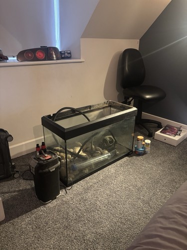 Fluval roma 125l white - 125l, cabinet