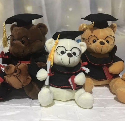 New graduation teddy bear - new, gift