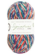 WYS Signature Sparkle 4 ply Knitting Wool Yarn 100g - 1166 Nutcracker