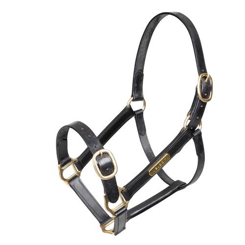 Shires velociti gara fully - shires,