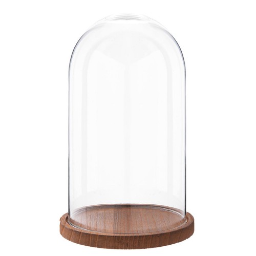 28cm glass display bell jar - 28cm,