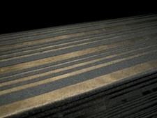 Single Jersey Fashion Fabric