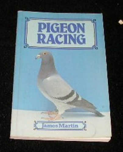 Pigeon racing - pigeon,